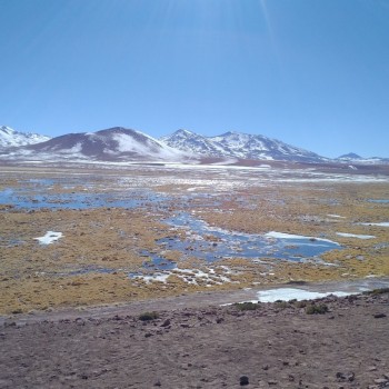 Chile Norden