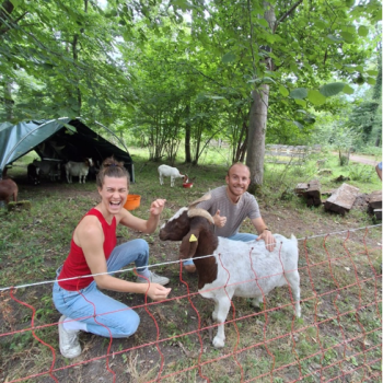 Personen streicheln Ziege