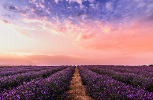 Test Bild