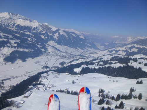 Lenk 2025
