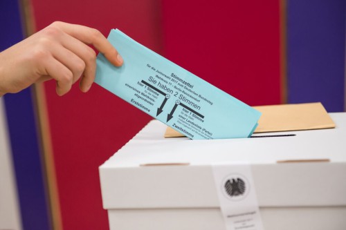 Juniorwahl Stockfoto